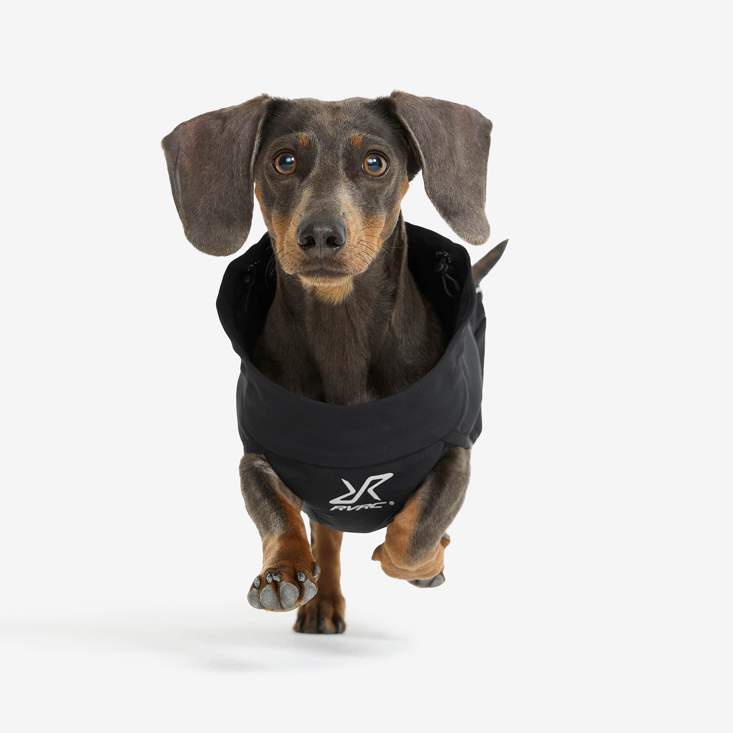 Cyclone Dog Jacket Hund Black