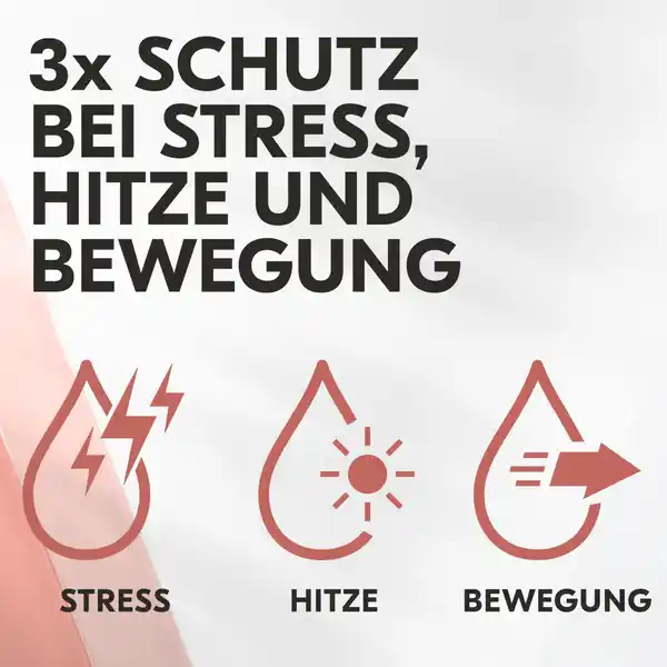 Maximum Protection Deo Roll-On Anti-Transpirant Fresh Reisegröße
