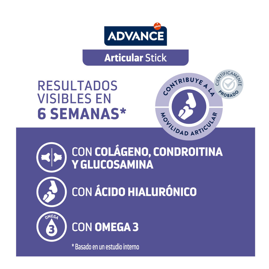 Bastão articular avançado para cães