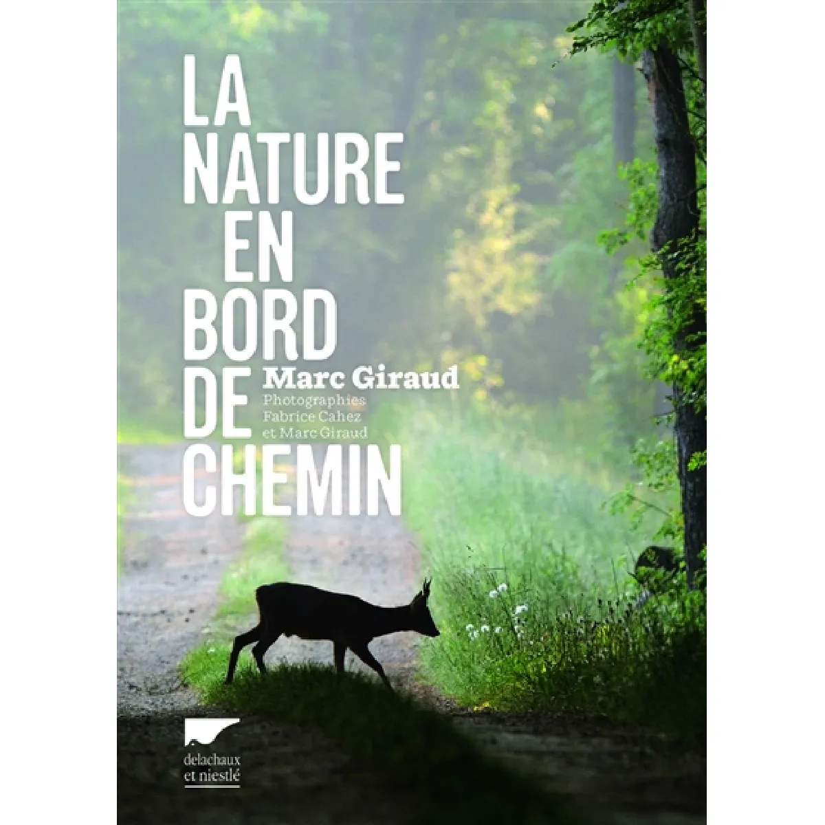 La nature en bord de chemin · Occasion