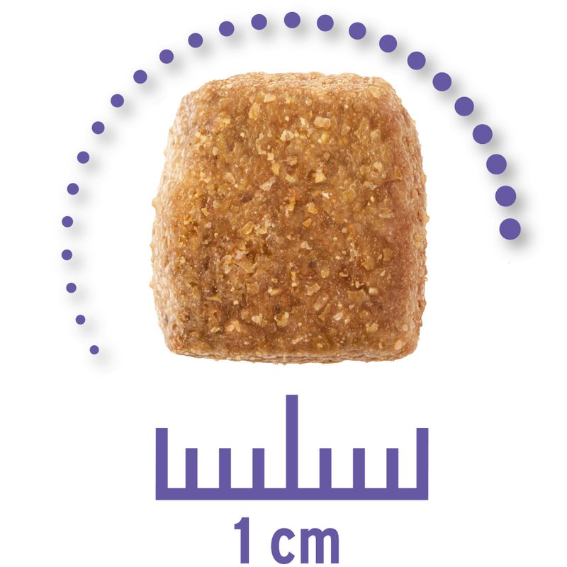 Concept for Life Veterinary Diet Renal