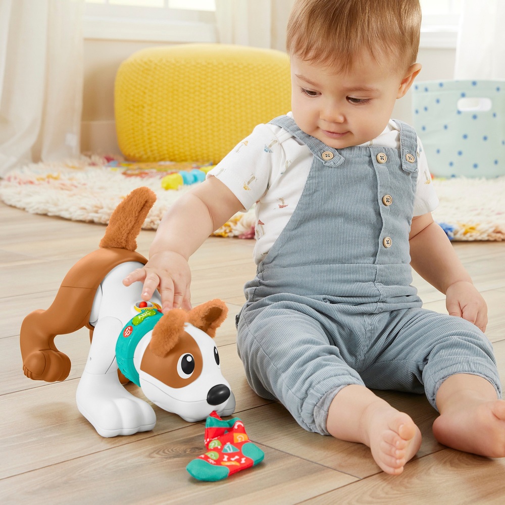 Fisher-Price 123 Krabbel-mit-mir-Welpe-Babyspielzeug
