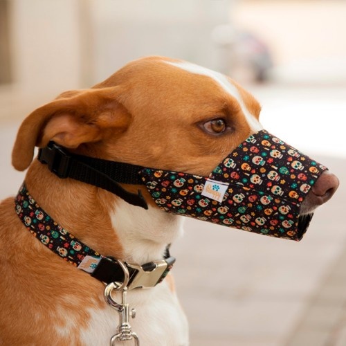 Focinheira Pamppy Mexican Skull Dog, Multicolorida