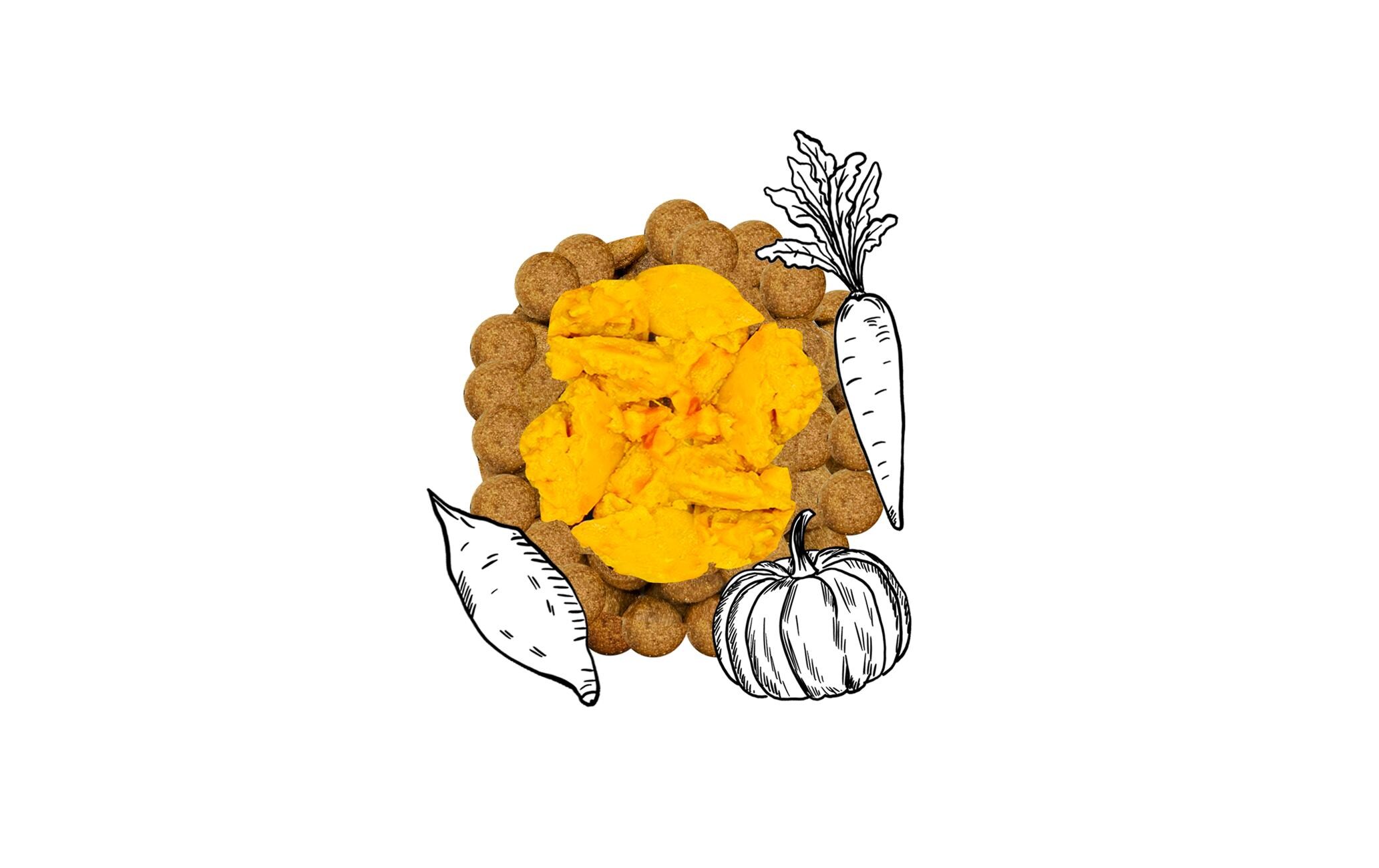 Nassfutter SteamCooked Topping Orange, 200 gErgänzungsfuttermittel für ausgewachsene Hunde