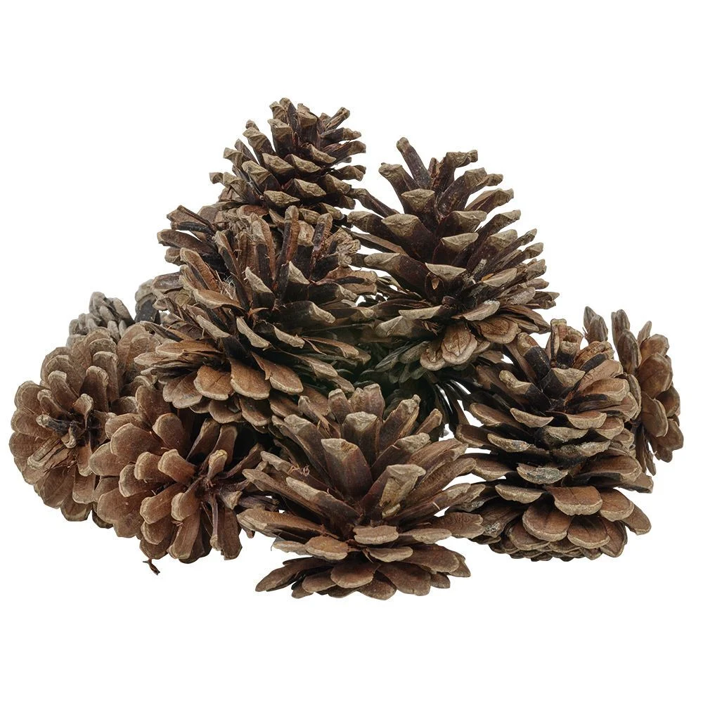 Décoration pomme de pin - Filet de 220g