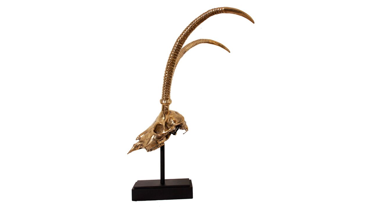 Deco H13 Gazelle SkullB53 x D60 x H71 cm