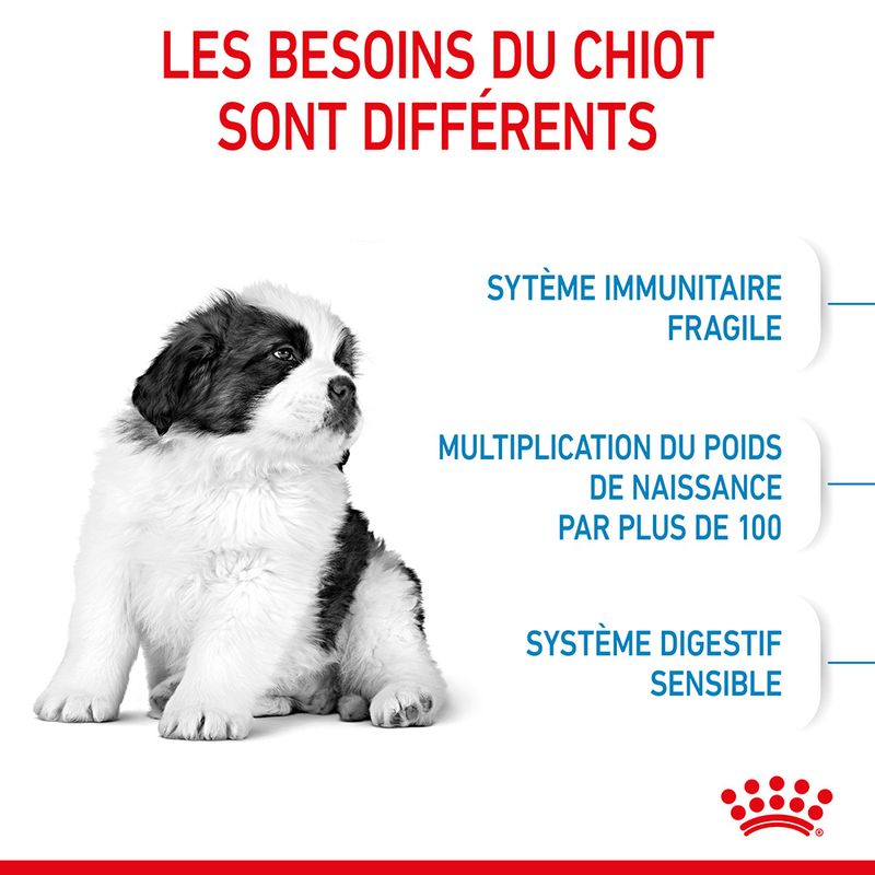 Royal Canin Giant Puppy - Croquettes chiot pas chères | Bitiba