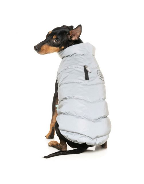Fuzzyard Hakuba Jacket Reflecterend - Hondenkleding