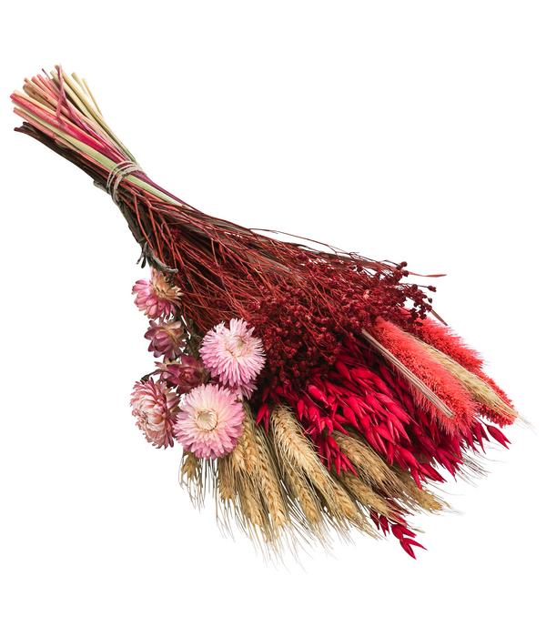Trockenblumenbouquet Trendy, rosa