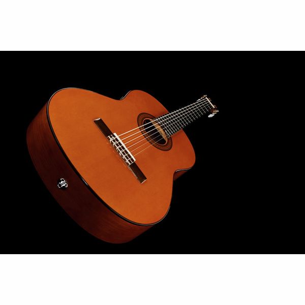 Yamaha CGX 102