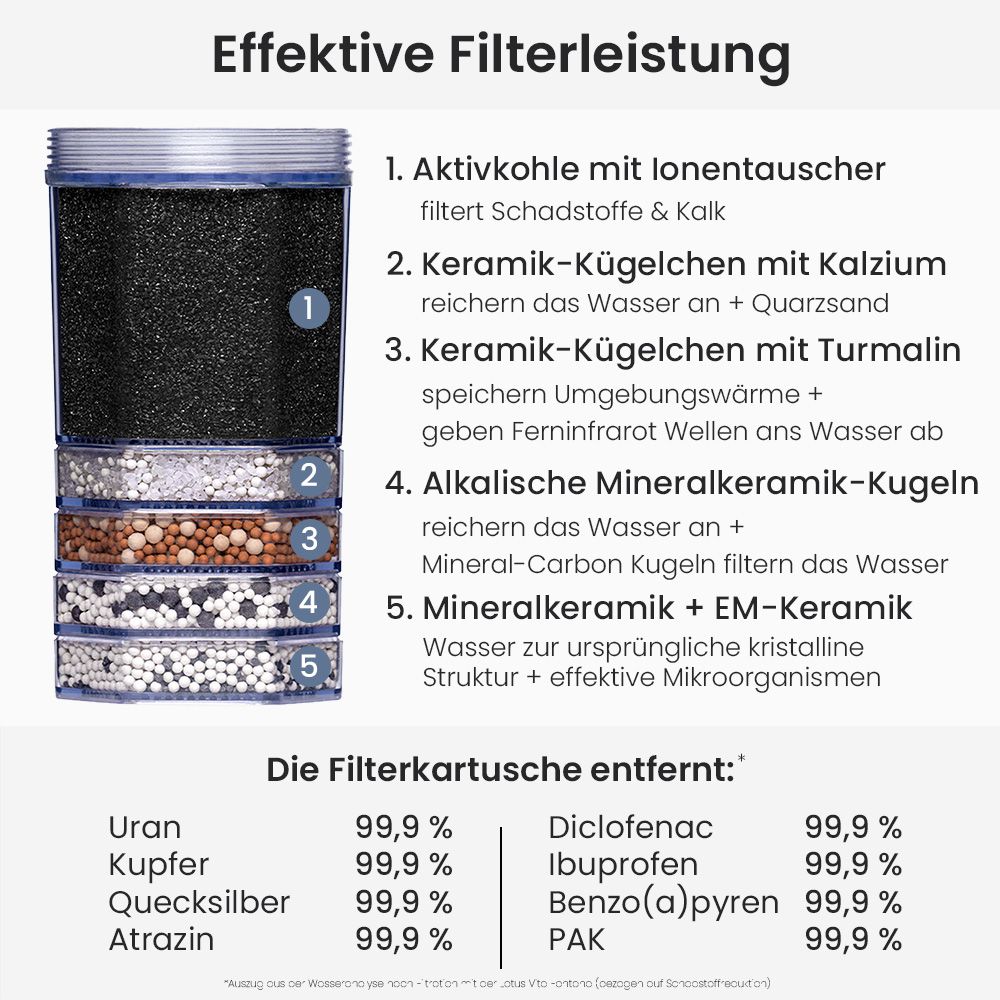 Lotus Vita Filterkartuschen Jahrespaket Mineral Aktiv für Fontana Wasserfilter