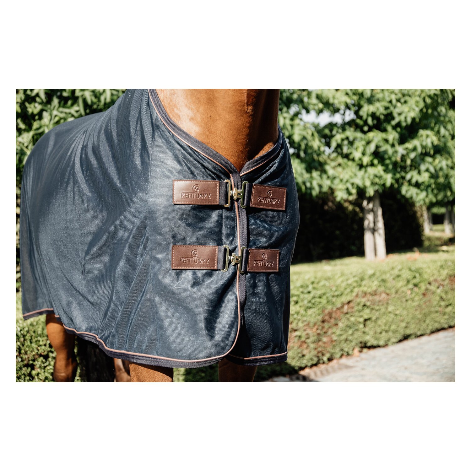 KENTUCKY Fliegendecke Mesh - navy
