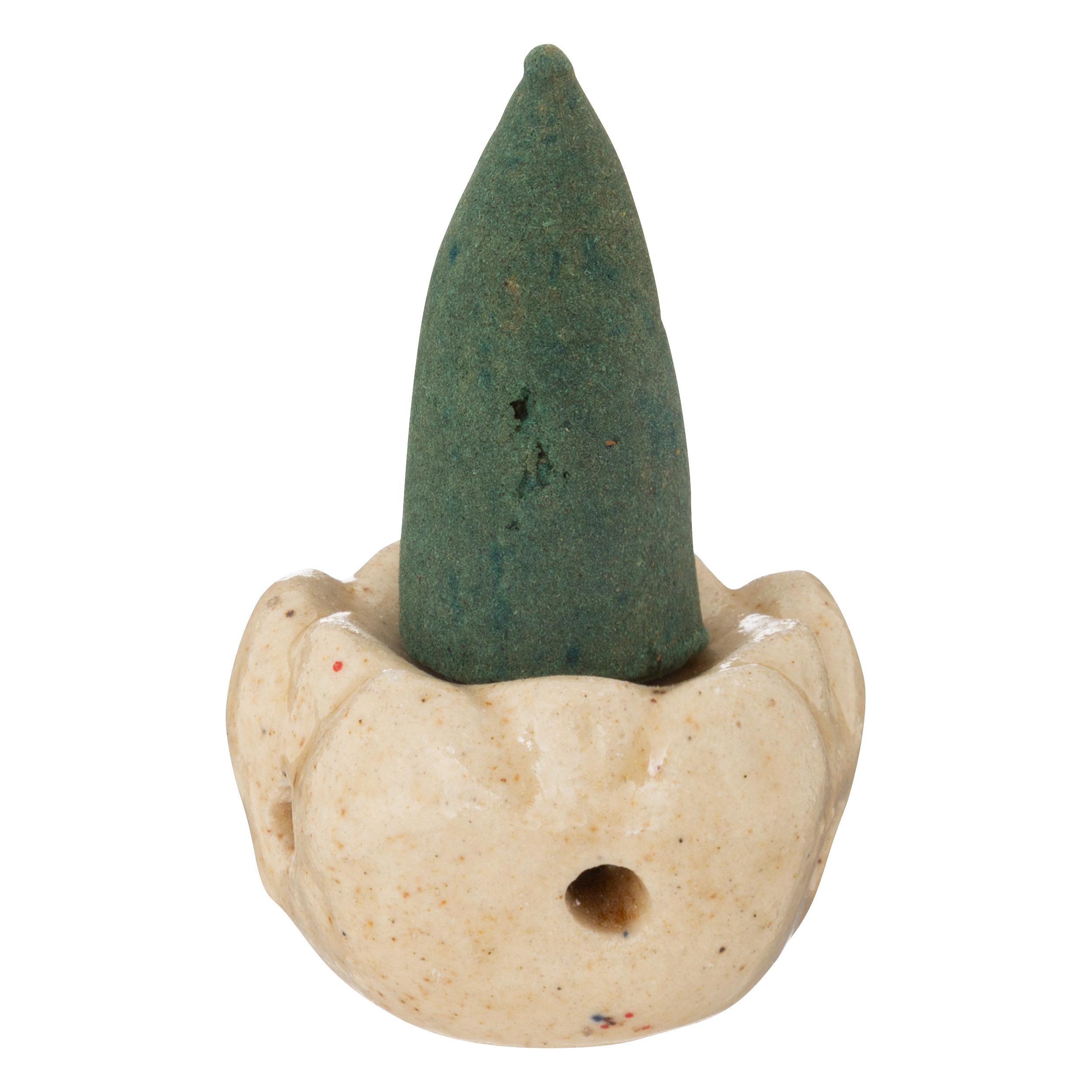 CONE ENCENS X15 PIECES ET SUPPORT TALY JASMIN