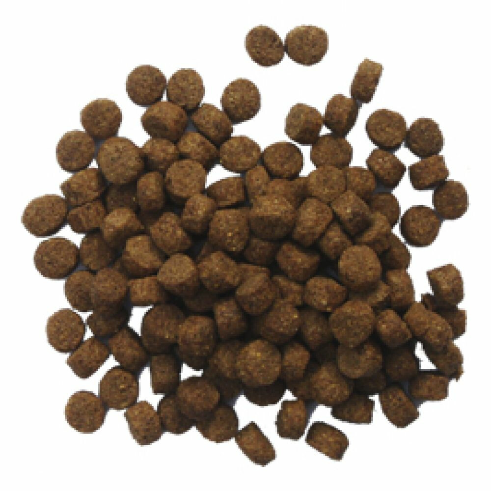 BF Petfood Krokant Hondenvoer 12,5 kg