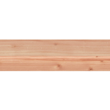Tuinpaal vierkant Douglas ca. 6,5 x 6,5 cm, lengte ca. 180 cm
