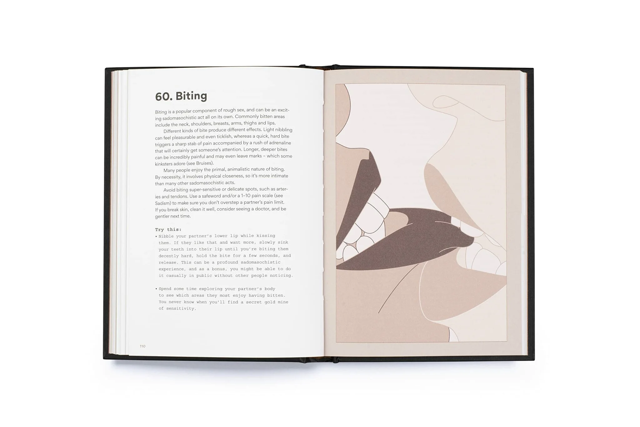 New Mags  101 Kinky Things bog