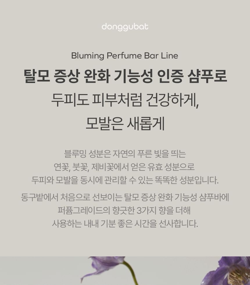 Donggubat - Bluming Parfum Shampoo Bar Reparatie