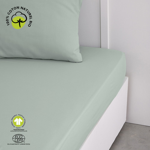 Today - ORGANIC CELADON - Celadon