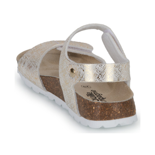 Citrouille et Compagnie - PISTAMI - Doré