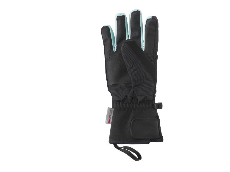 Skihandschoenen Premium