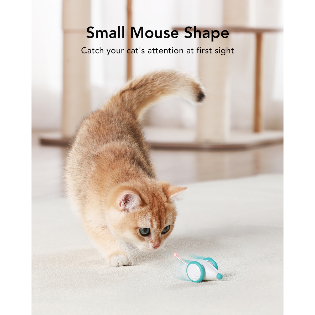 Petlibro Pixie Mouse katteleke