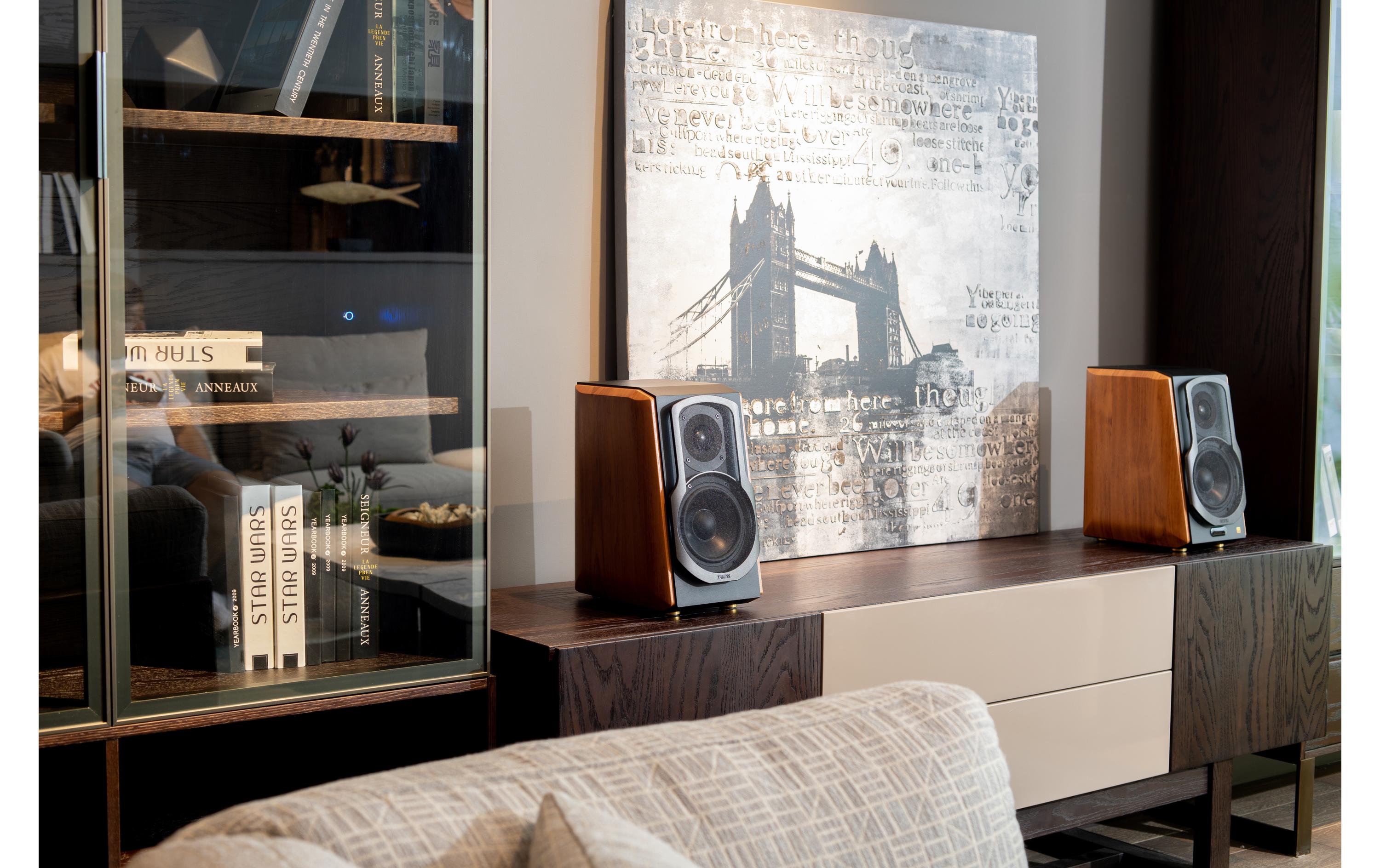 Regallautsprecher Paar S1000MKII Braun<br>Hi-Res-zertifizierter Multimedia-Lautsprecher mit 120 Watt Leistung, Bluetooth, 2x RCA, 1x koaxial, 1x optisch Eingängen