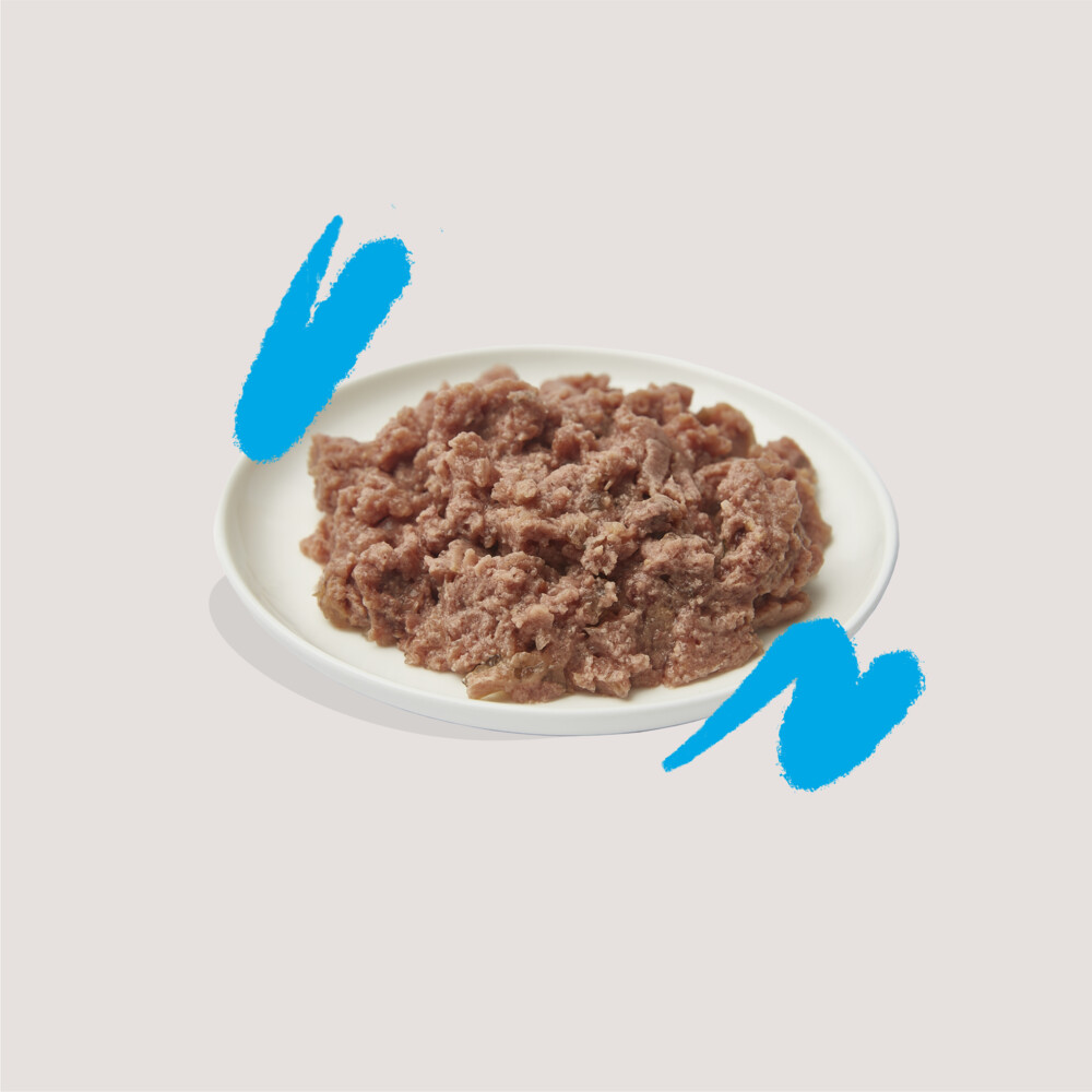 16x Edgard & Cooper Kattenvoer Adult Bio Paté Zalm - Kip85 gr
