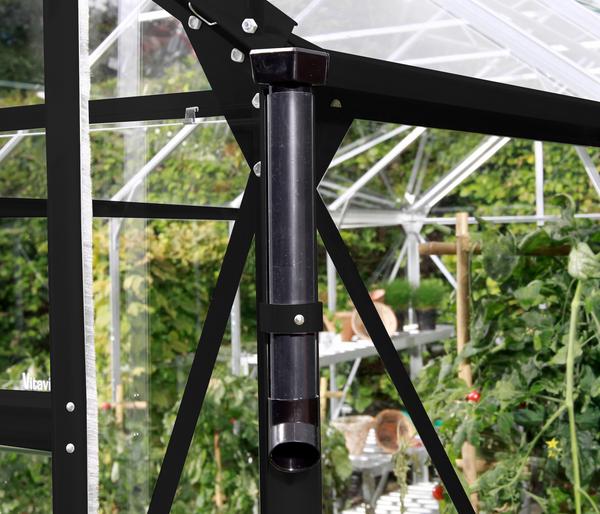 Vitavia Gewächshaus Pollux 3800 HKP inkl.