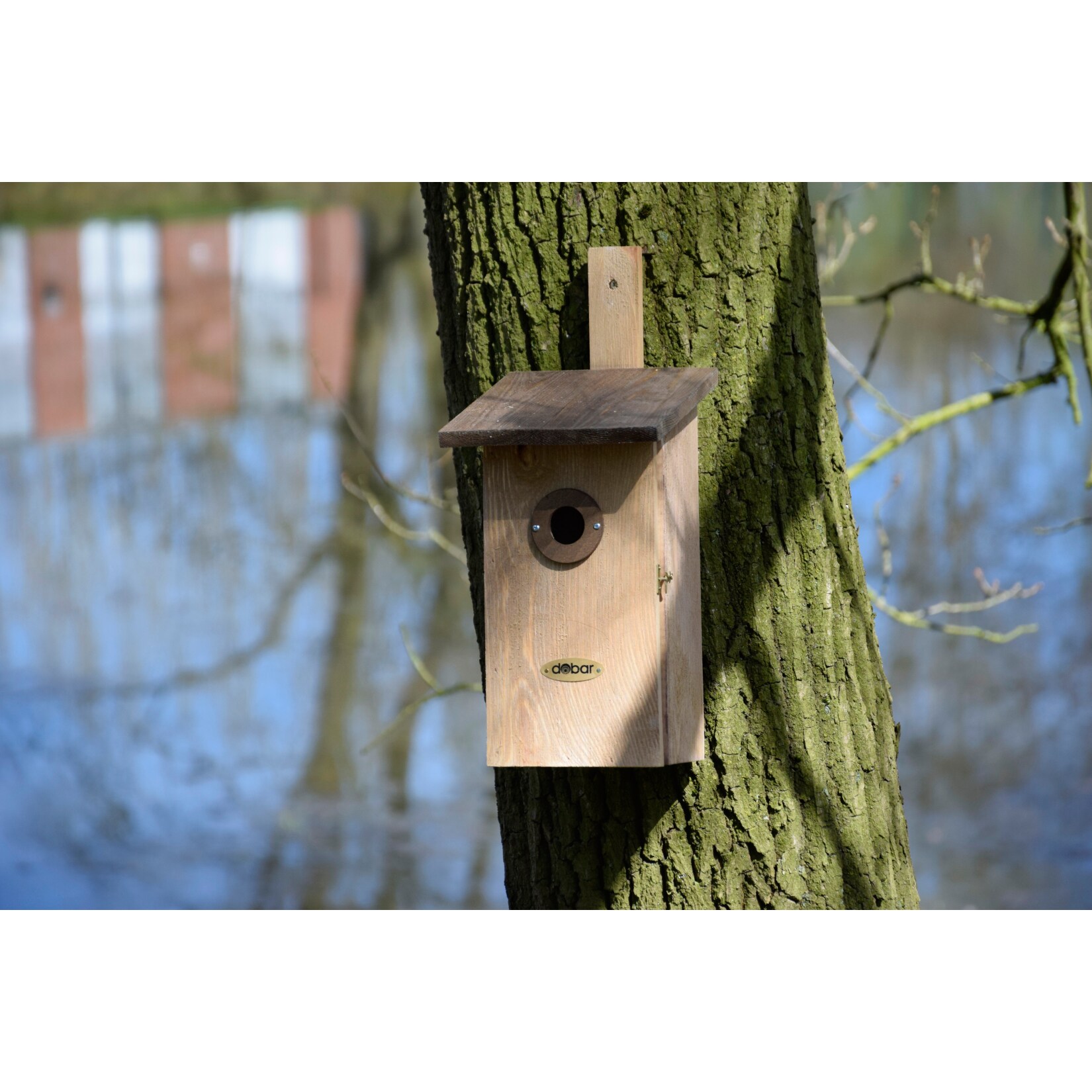 Beobachtungs-Vogelnistkasten 