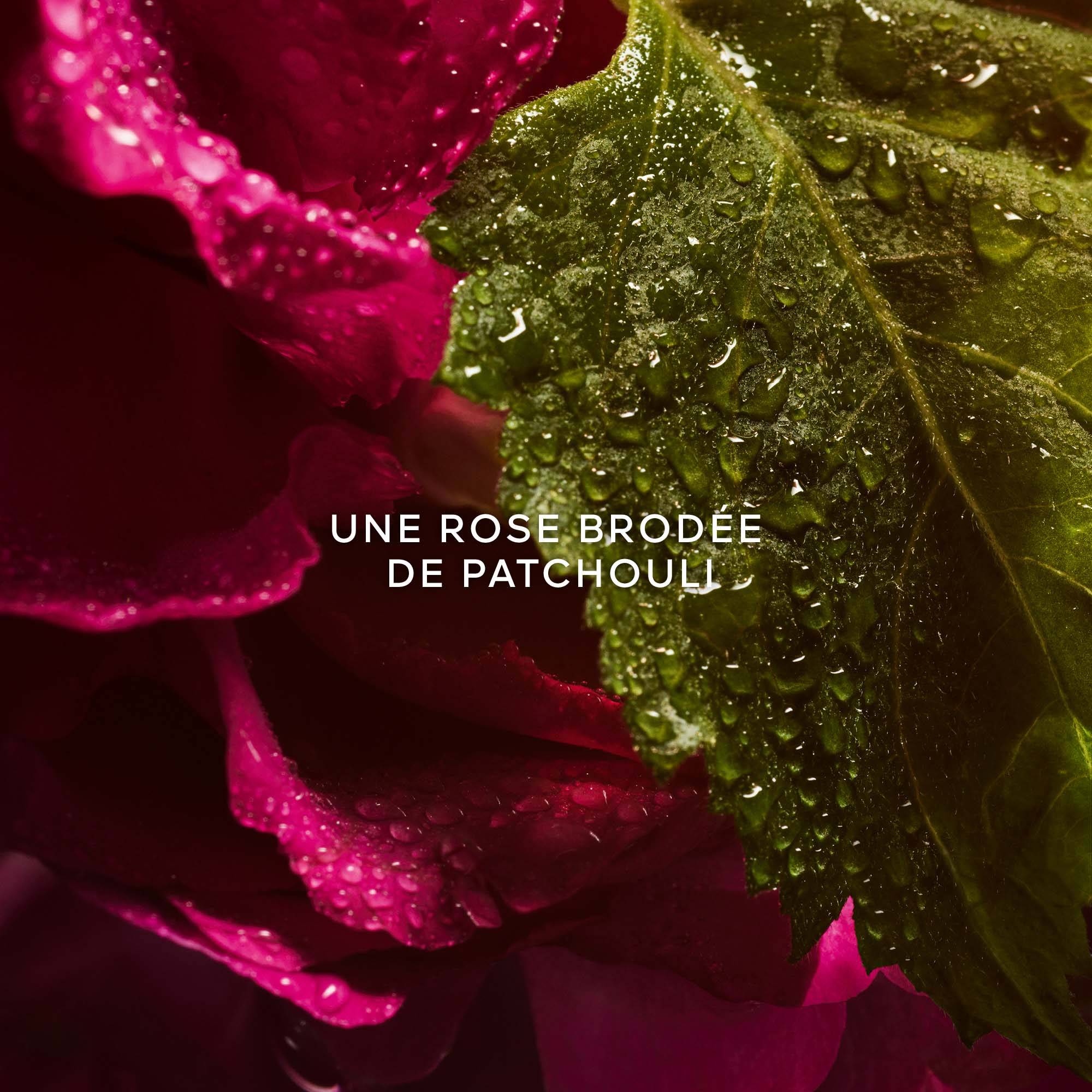 LA PETITE ROBE NOIRE Eau de Parfum Absolue |