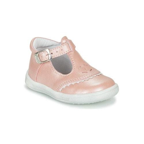 GBB - AGENOR - Rose