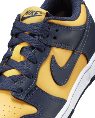 Nike Dunk Low Little Kids' Shoes