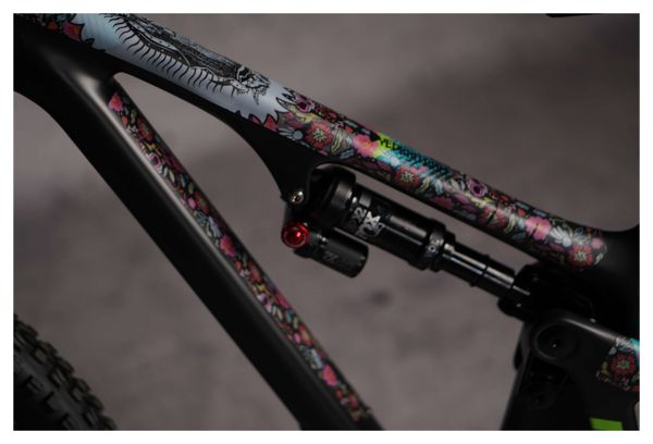 Kit de Protection Cadre Dyedbro Frame Guadalupe Multi-Couleurs