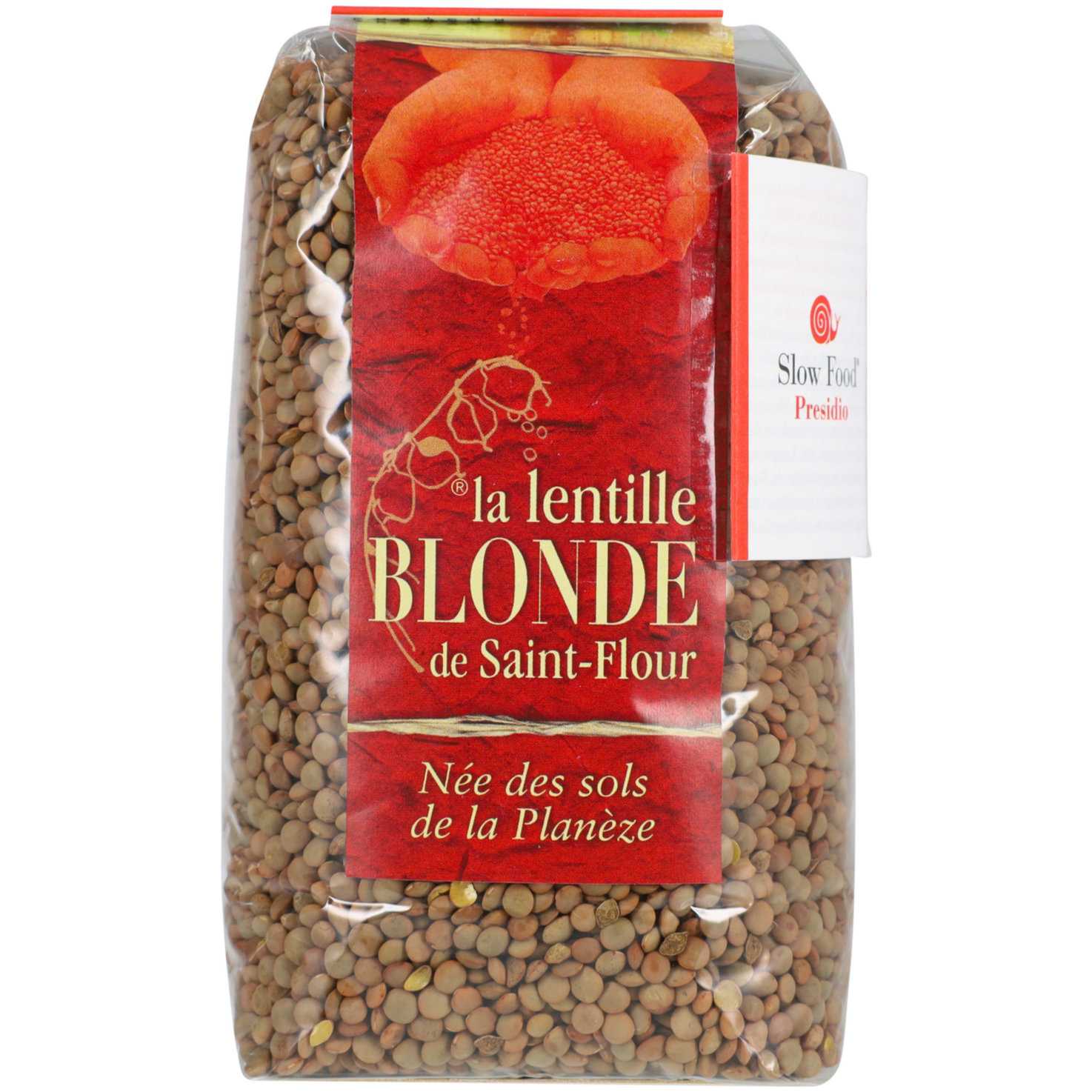 Presidio Slow Food la lentille blonde de Saint-Flour
