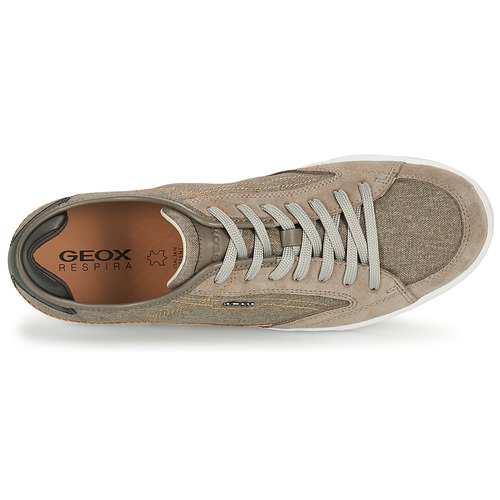 Geox - U WALEE A - Taupe