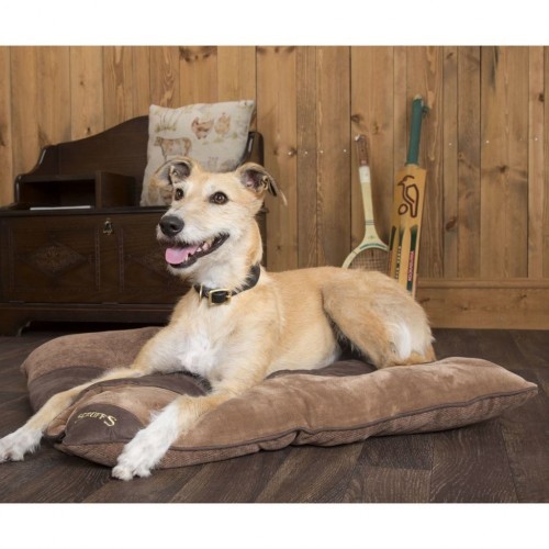 Cama para cães Chester Divan, marrom