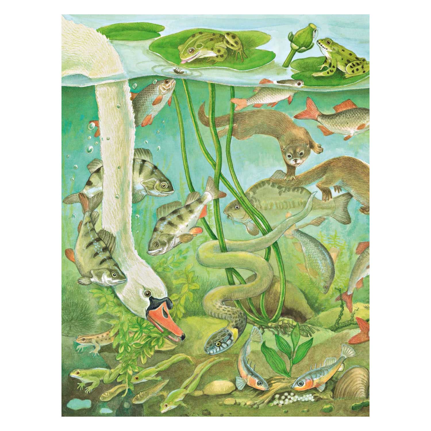 Kijk- en Zoekboek - Bij het water