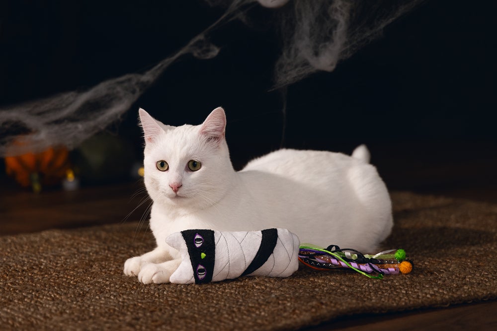 Beeztees kattenspeeltje mummy wit / zwart 35 x 7 x 3,5 cm