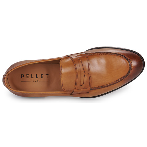 Pellet - AUGUSTE - VEAU BROSSE COGNAC
