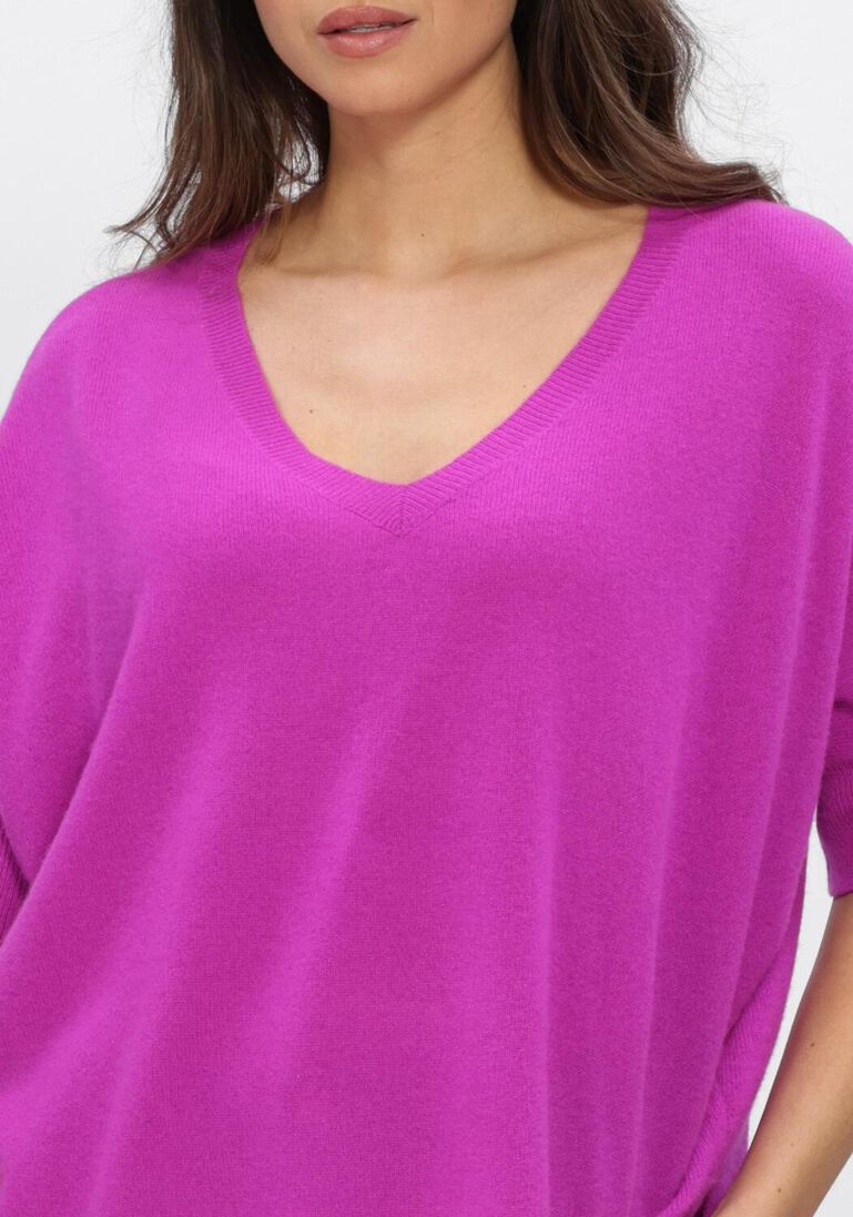 paarse absolut cashmere truien/vesten kate