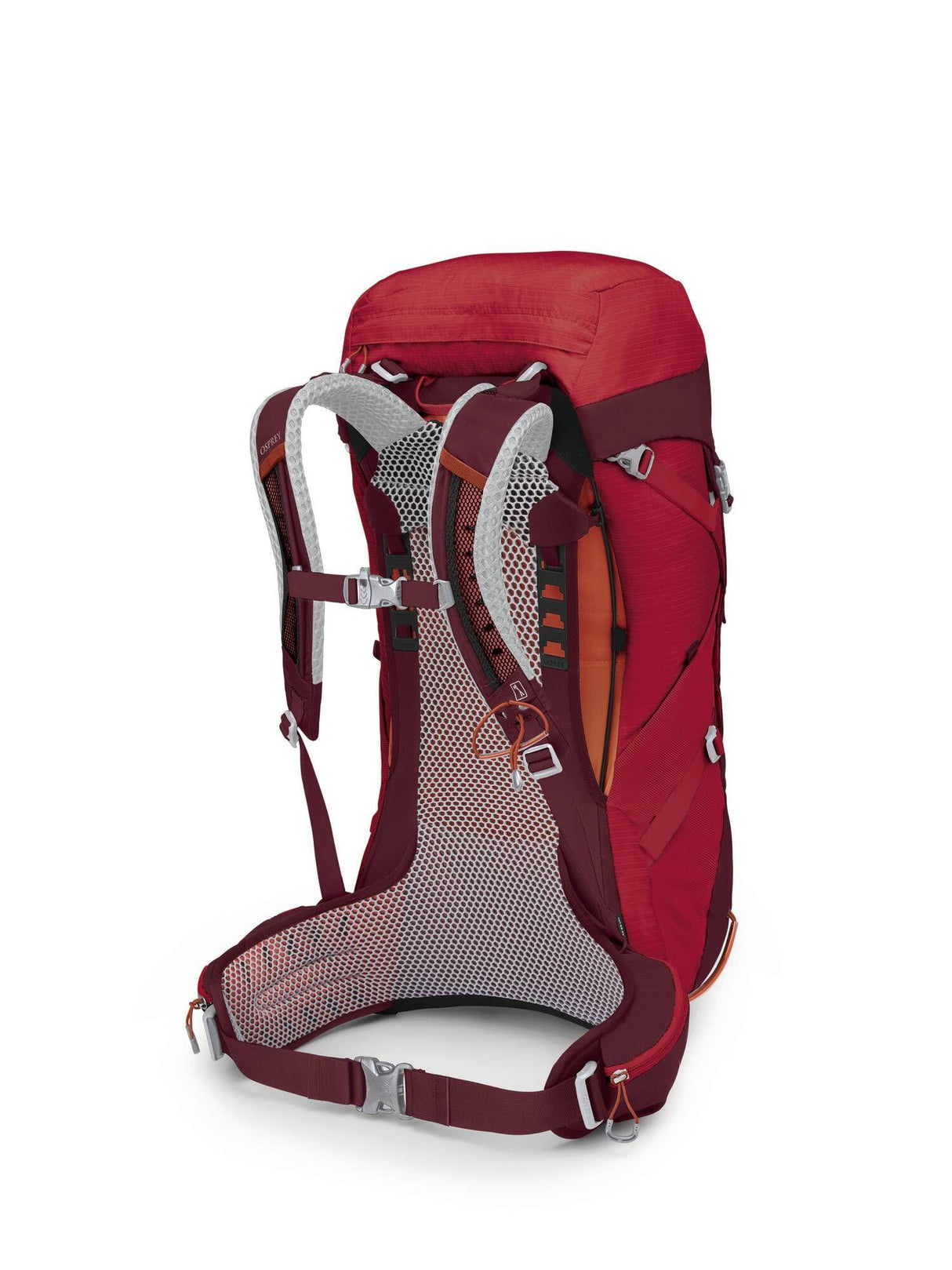 Osprey<br>Stratos 36