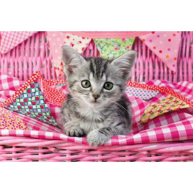 Puzzle Set - Meine liebsten Haustierbabys - 3 x 48 Teile