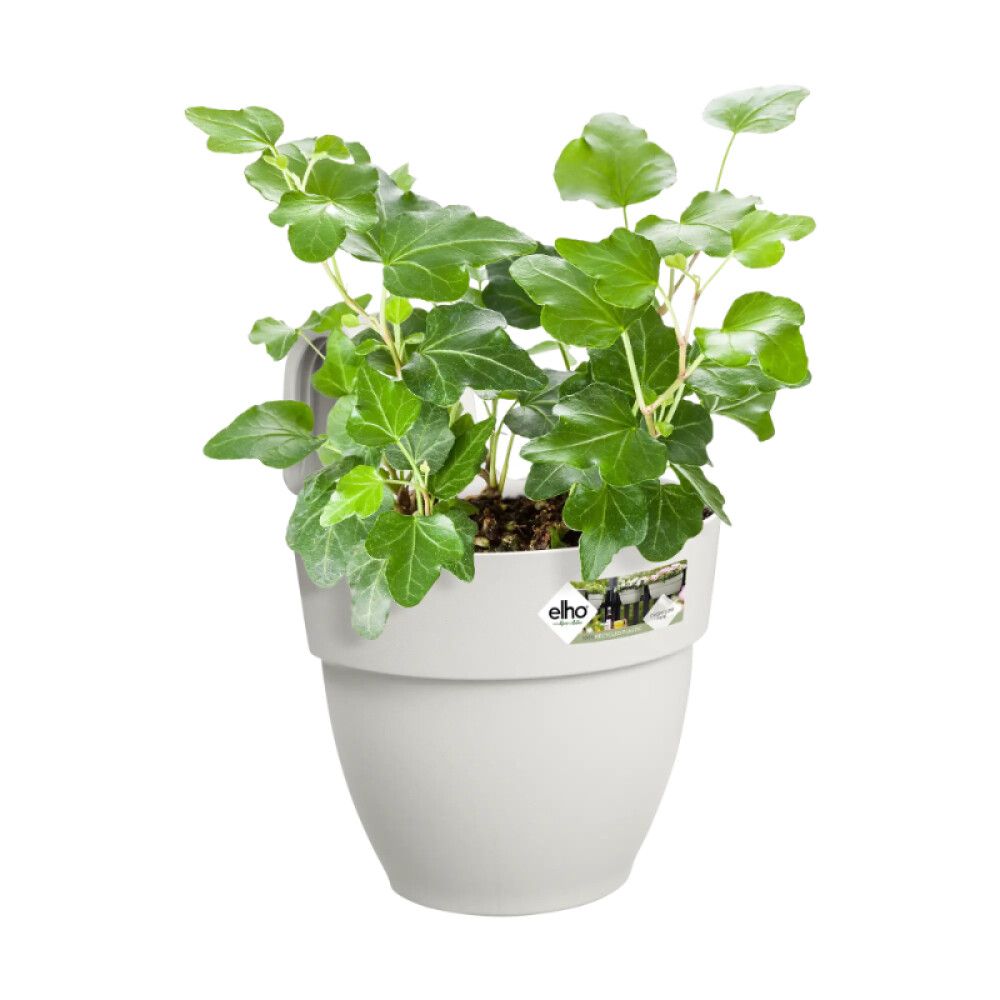 ALTANPOTTE ELHOVIBIA CAMPANA ELHO 21 CM HVIT