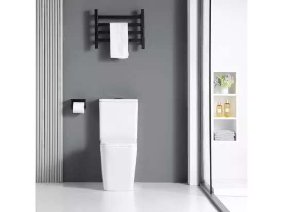 Toilette WC à poser BRAGADO en céramique