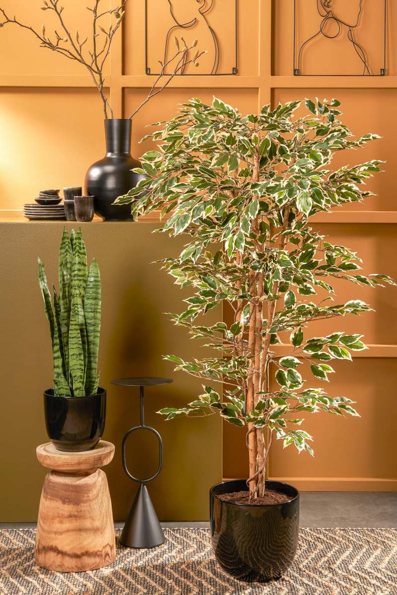 Mica decorations plante artificielle hawaii - 90x90x180 cm - pe - vert