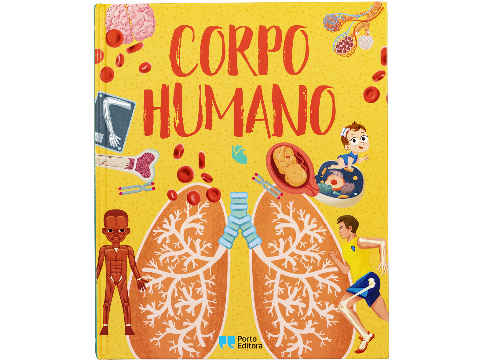 LIVRO ENCICLOPÉDIA DOS CURIOSOS - CORPO HUMANO