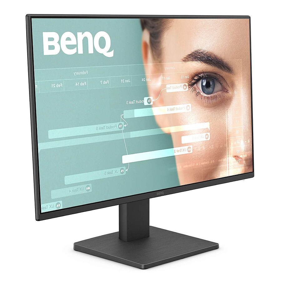 BenQ GW2491