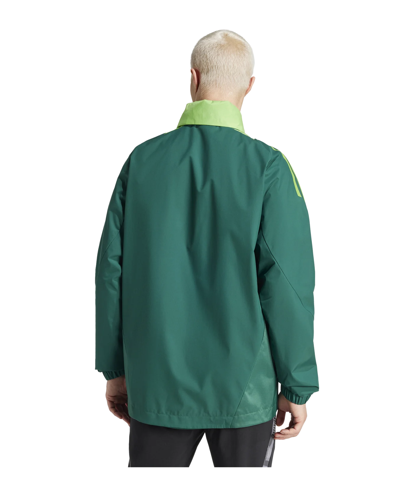 adidas Tiro 24 Competition Allwetterjacke Grün