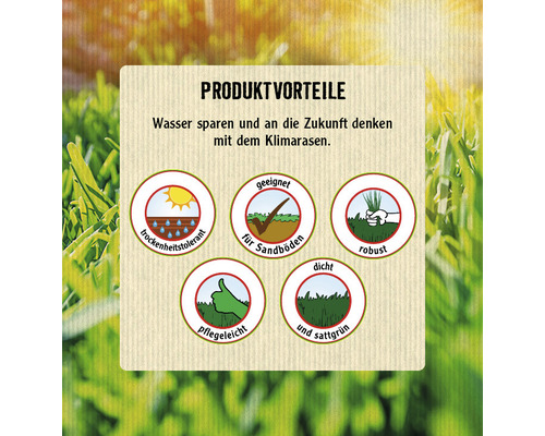 Droog gras - klimaatgras FloraSelf Select 1 kg / 35 m²