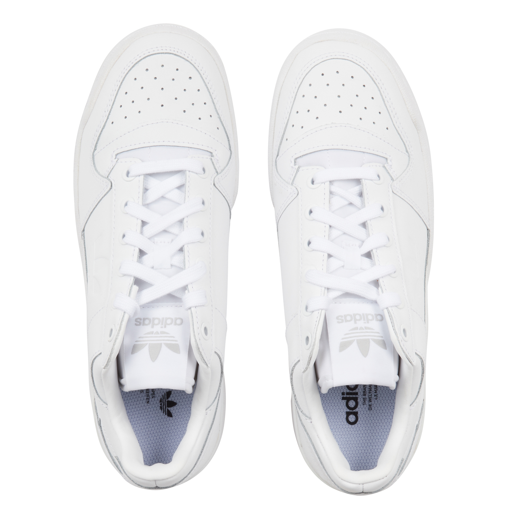 FORUM BOLD W - Forum Bold | Blanc